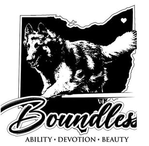 ABTC 2024 BELGIAN TERVUREN PUPPY SWEEPSTAKES