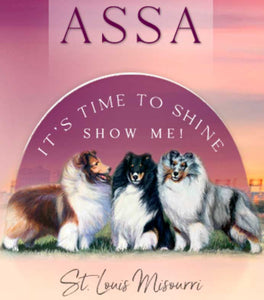 ASSA 2024 SHETLAND SHEEPDOG: DOGS REGULAR CLASSES PACKAGE