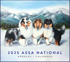 2025 SHELTIE WHOLE SHOW PACKAGE FOR THE ASSA NATIONAL AT GREELEY COLORADO