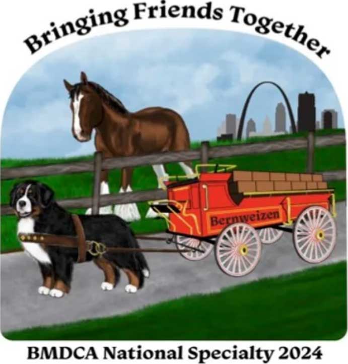 BMDCA 2024 BERNESE MOUNTAIN DOG: JUNIOR SHOWMANSHIP