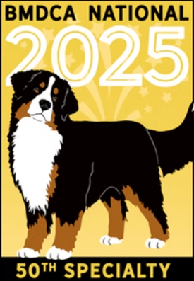 2025 BERNESE MTN DOG WHOLE SHOW PACKAGE FOR THE BMDCA NATIONAL AT GETTYSBURG PENNSYLVANIA