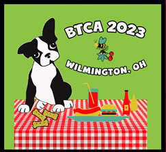 BTCA 2023 BOSTON TERRIER MONDAY SHOW PACKAGE