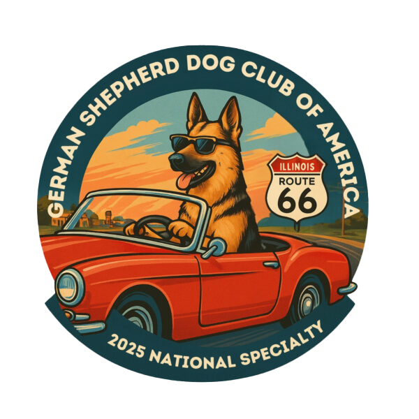 2025 GSDCA NATIONAL SHOW BEST OF BREED FOR THE GERMAN SHEPHERD NATIONAL AT SPRINGFIELD ILLINOIS