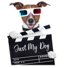 JUST MY DOG - CLASSES - CUSTOM EDITED VIDEO FOR JUST ONE DOG