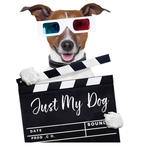 JUST MY DOG - CLASSES - CUSTOM EDITED VIDEO FOR JUST ONE DOG