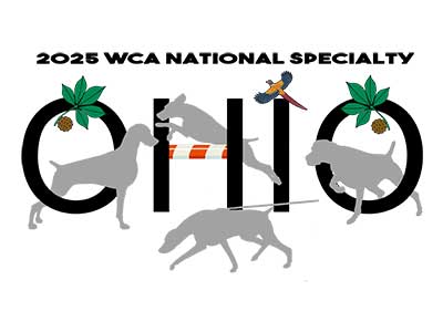2025 WEIMARANER GCWC REGIONAL SHOW ONLY PACKAGE FOR THE WCA NATIONAL AT WILMINGTON OHIO