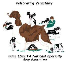 ESSFTA 2023 ENGLISH SPRINGER SPANIEL BEST OF BREED