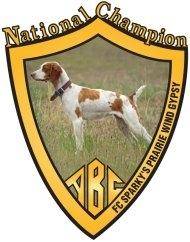 ABC2015 Movie 04: Sweepstakes - Puppies, Veterans & Dual CH