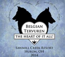 ABTC2014 Movie 04: Best of Breed Dog Groups and Junior Show