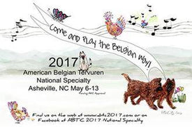 ABTC2017 Movie 03: Stud Dog, Brood Bitch, Brace, Juniors, 4-6m & Parades