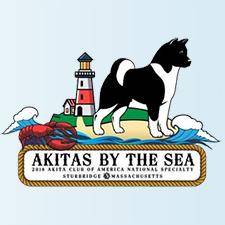 ACA2018 Movie 02: National Best of Breed, Junior Show, and Brace