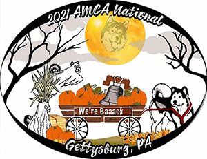 AMCA 2021 ALASKAN MALAMUTE DOGS-BITCHES-BREED PACKAGE