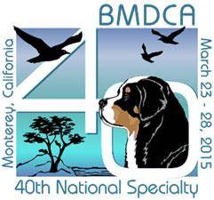 BMDCA2015 Movie 08: Puppy Sweeps BITCHES