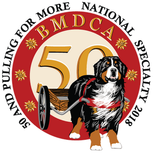 BMDCA2018 Movie 02: Dog Classes BBE thru Winners Dog and Veterans