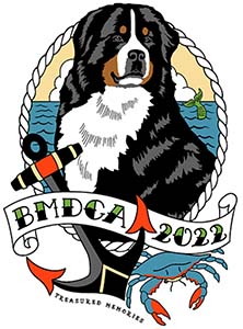 BMDCA 2022 BERNESE MOUNTAIN DOG TEAM OBEDIENCE