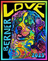 BMDCA 2023 BERNESE MOUNTAIN DOG: FUTURITY JUDGING