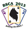 BSCA2013 Movie 01: Dog & Bitch Classes