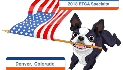 BTCA2018 Movie 04: Boston Terrier of the Year, Junior Show, Parade of Titleholders