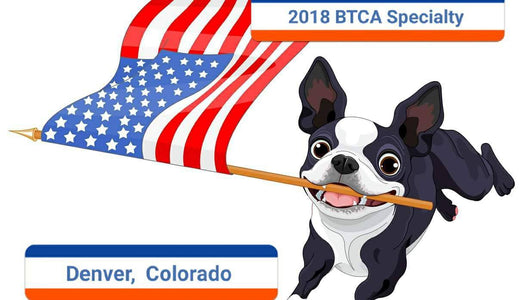 BTCA2018 Movie 08: Monday Show Sweepstakes Puppies & Veterans