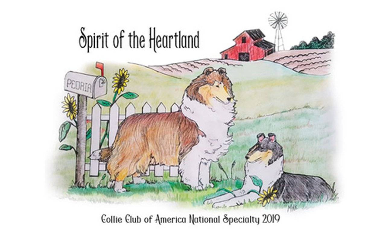 CCA2019 Movie 11: Intervariety Best of Breed & Top 10