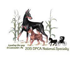 DPCA2015 Movie 09: NATL Sweepstakes PuppiesNATL Futurity Classes 12-15m, 15+m, Bests, Grand & Maturity