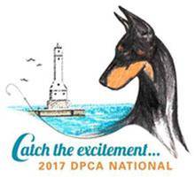 DPCA2017 Movie 10: Sweepstakes Puppies 6-9m and 9-12m