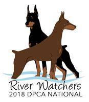 DPCA2018 Movie 08: Futurity Puppies 6-9m and 9-12m