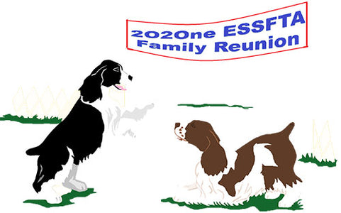 ESSFTA 2021 ENGLISH SPRINGER SPANIEL WHOLE SHOW "EVERYTHING" PACKAGE