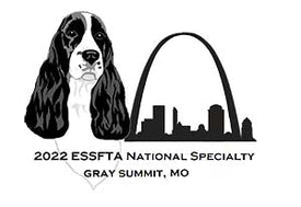 ESSFTA 2022 ENGLISH SPRINGER SPANIEL BRACE CLASS