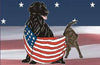 FCRSA2011 Movie 02: DOG Classes Veterans, Field, Working, Stud Dog