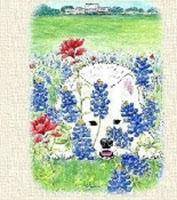 SCA2013 Movie 04: Best of Breed Dog Groups & Junior Showmanship