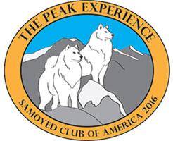 SCA2016 Movie 07: Futurity & Elements of the Standard