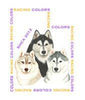 SHCA2012 Movie 05: Best of Breed Dog Groups & Junior Show