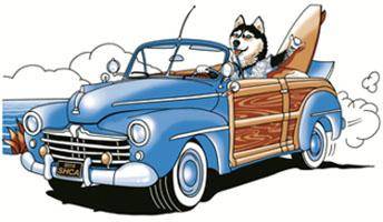 SHCA2014 Movie 01: Dog Classes - 6-9m thru Winners Dog