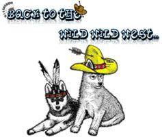 SHCA2015 Movie 09: Best of Breed Final Judging, Best Of's, Brace & Team