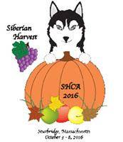 SHCA2016 Movie 07: Puppy Sweepstakes