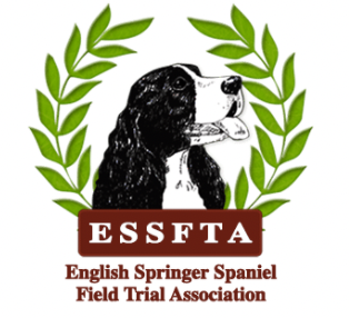 FSS 2022 ESSFTA ENGLISH SPRINGER SPANIEL FRIDAY SWEEPSTAKES JUDGING