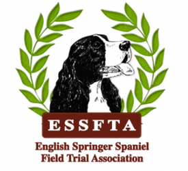 FSS 2022 ESSFTA ENGLISH SPRINGER SPANIEL "EVERYTHING" PACKAGE