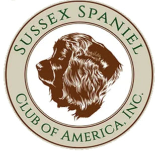 FSS 2023 SSCA SUSSEX SPANIEL "EVERYTHING" PACKAGE