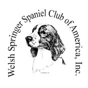 FSS 2022 WSSCA WELSH SPRINGER SPANIEL FRIDAY SWEEPSTAKES JUDGING